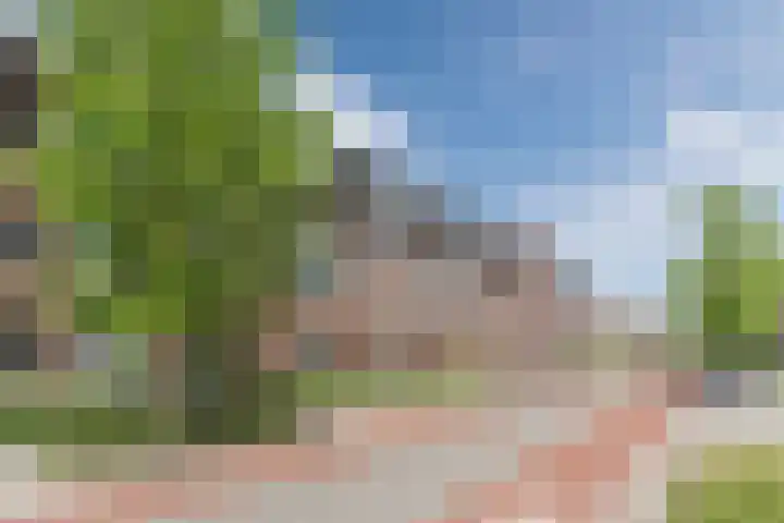 Molenwiek 6 Best thumbnail 62