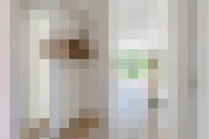 Molenwiek 6 Best thumbnail 9