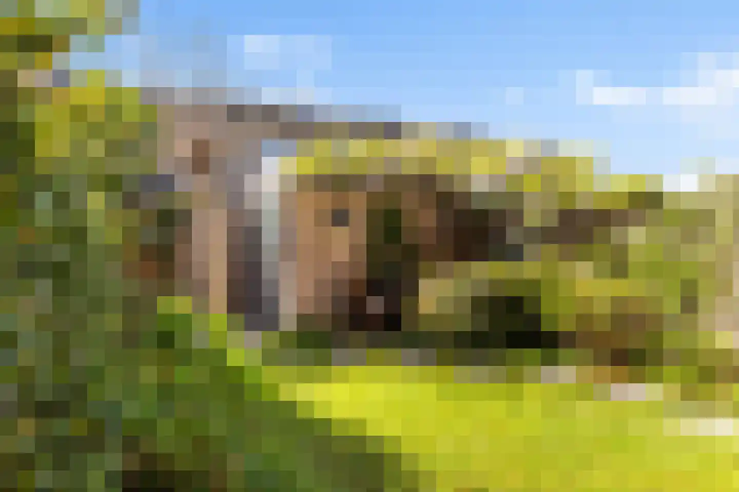 Molenwiek 64 Apeldoorn thumbnail 11