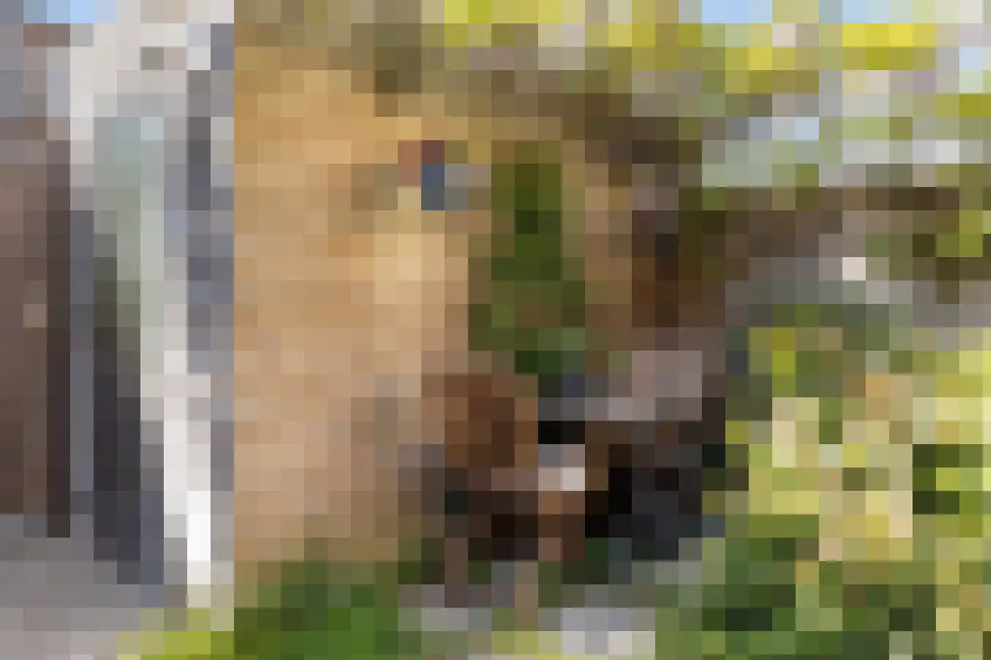 Molenwiek 64 Apeldoorn thumbnail 12