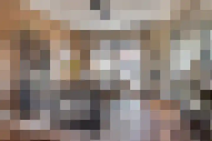 Molenwieken 2 a Halsteren thumbnail 13