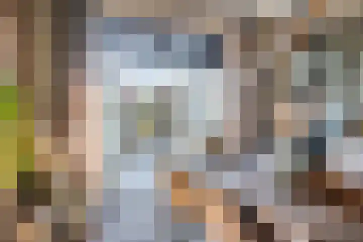Molenwieken 2 a Halsteren thumbnail 14