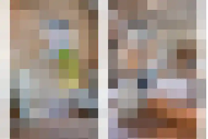 Molenwieken 2 a Halsteren thumbnail 15