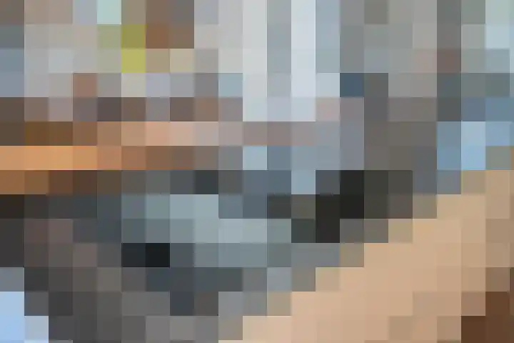 Molenwieken 2 a Halsteren thumbnail 17