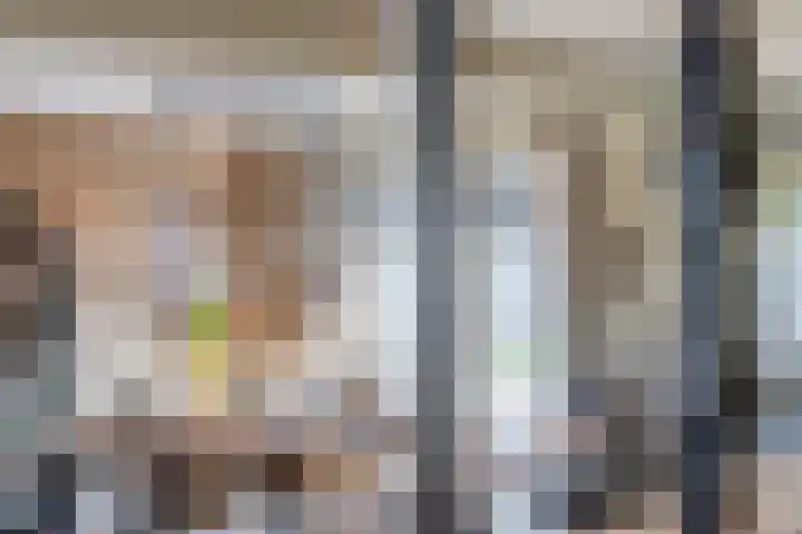 Molenwieken 2 a Halsteren thumbnail 21
