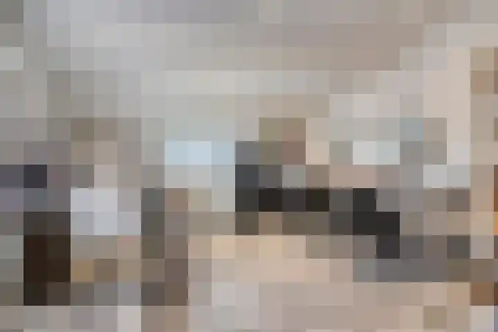 Molenwieken 2 a Halsteren thumbnail 26