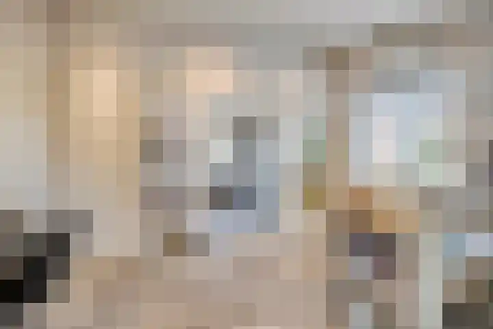 Molenwieken 2 a Halsteren thumbnail 27