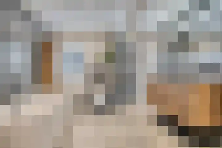 Molenwieken 2 a Halsteren thumbnail 40