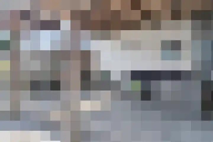 Molenwieken 2 a Halsteren thumbnail 49