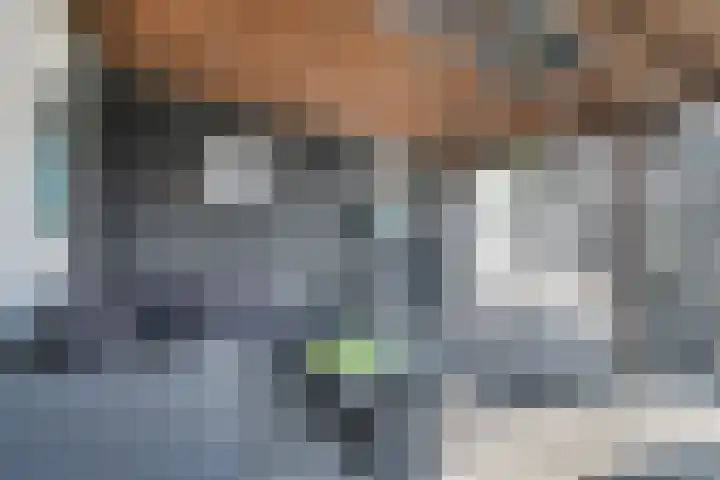 Molenwieken 2 a Halsteren thumbnail 50