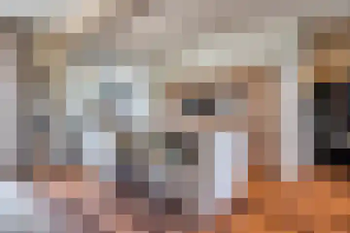 Molenwieken 2 a Halsteren thumbnail 6