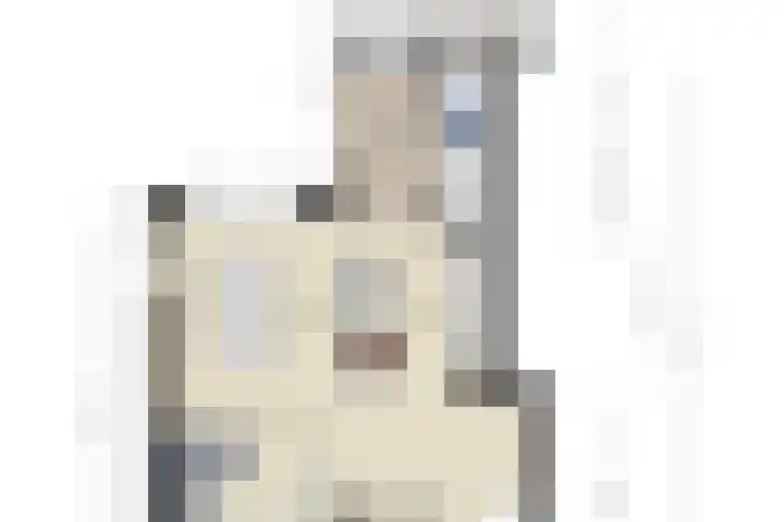 Molenwieken 2 a Halsteren thumbnail 63