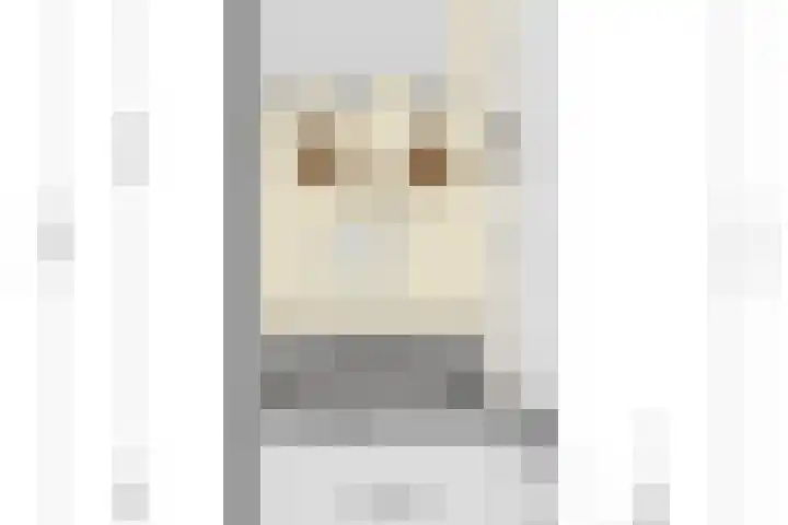 Molenwieken 2 a Halsteren thumbnail 70