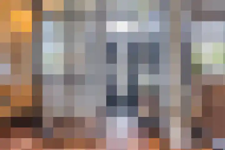 Molenwieken 2 a Halsteren thumbnail 9