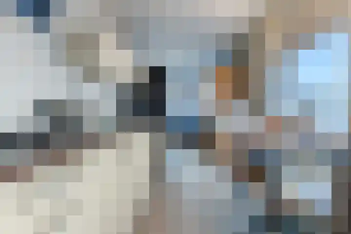 Molenwieken 24 Veghel thumbnail 11