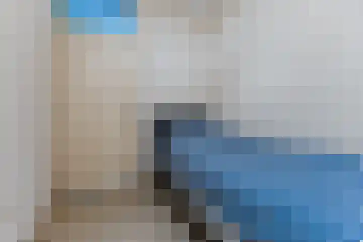 Molenwieken 24 Veghel thumbnail 14