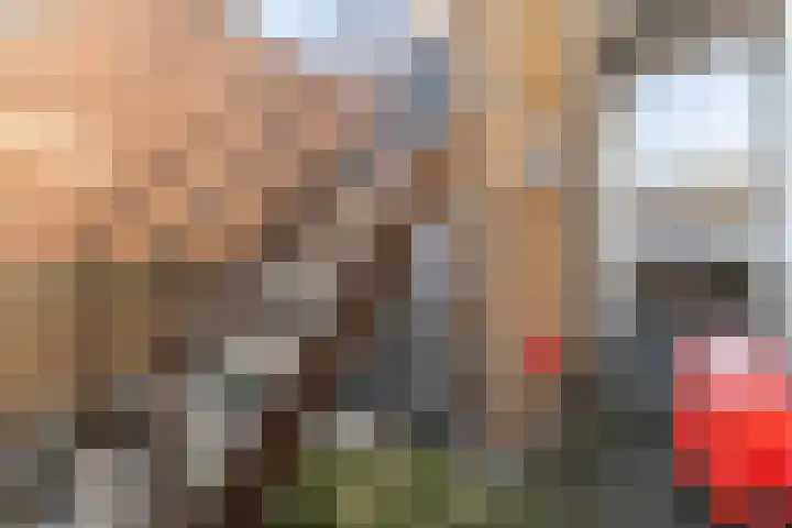 Molenwieken 24 Veghel thumbnail 18