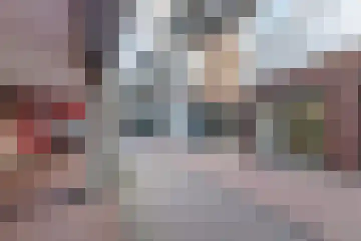 Molenwieken 24 Veghel foto 3