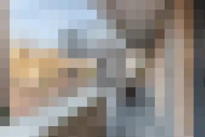 Molenwieken 24 Veghel thumbnail 6