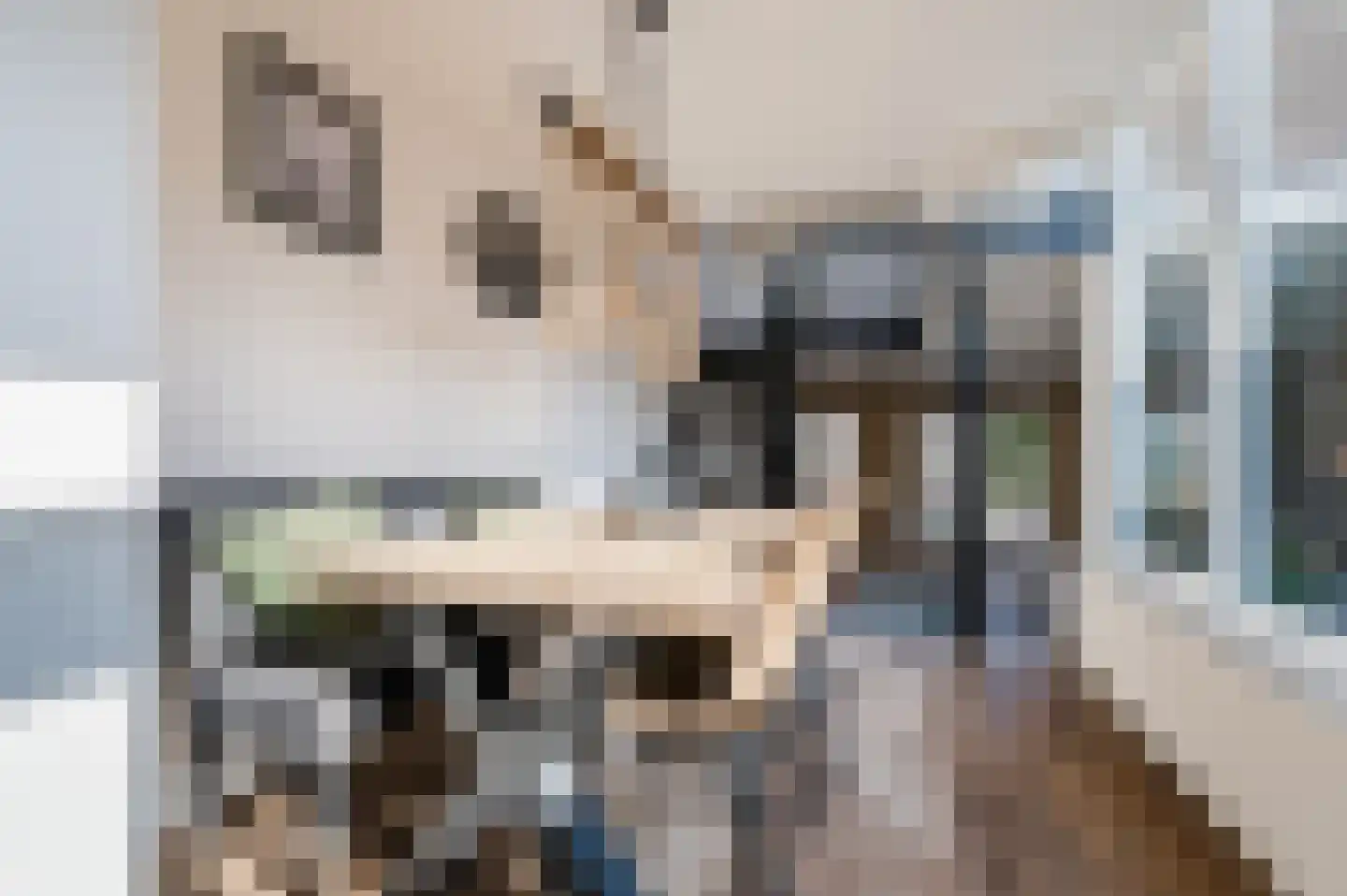 Molenwieken 54 Veghel thumbnail 17