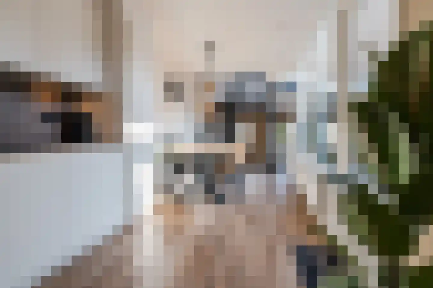 Molenwieken 54 Veghel thumbnail 18