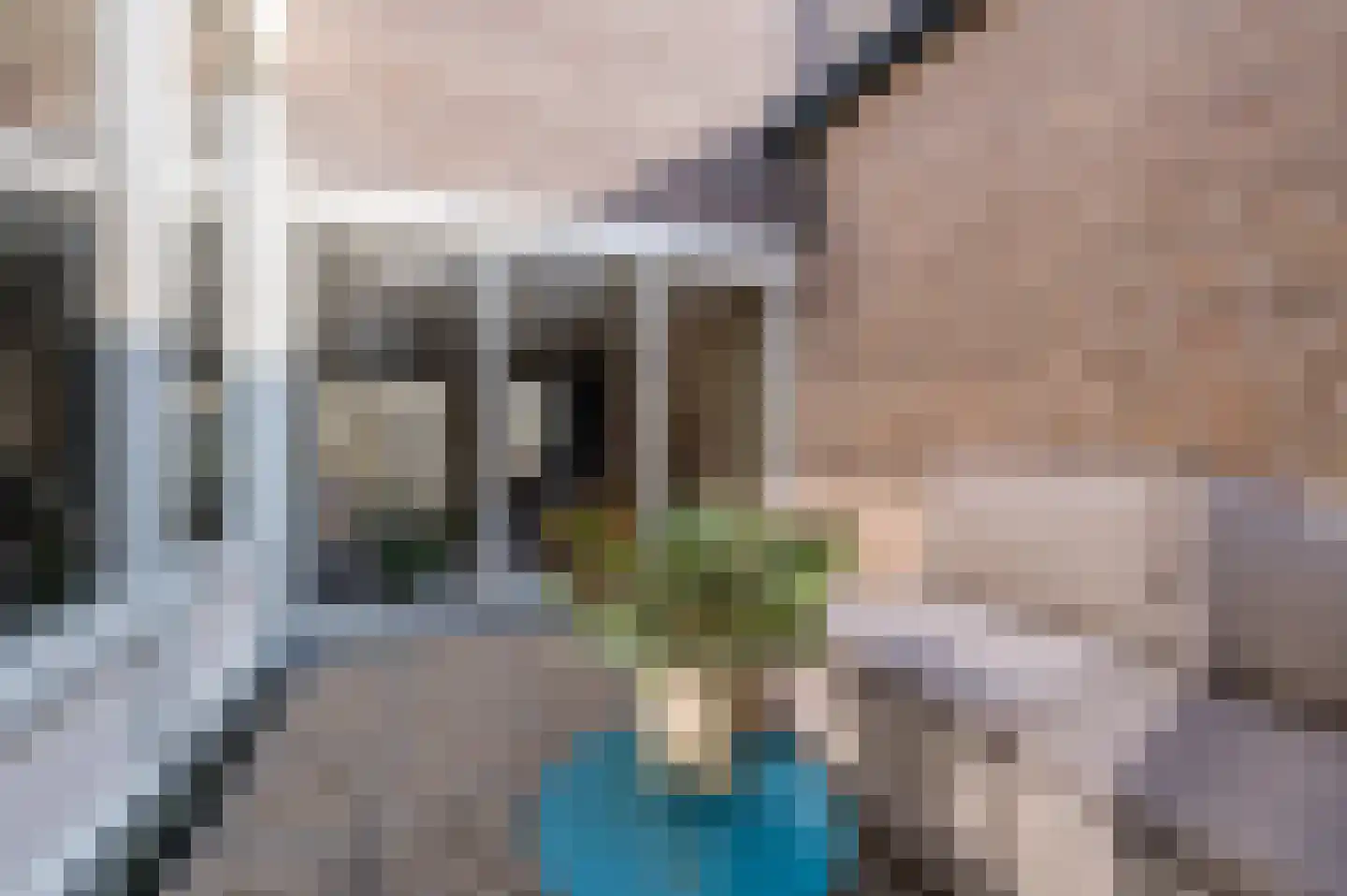Molenwieken 54 Veghel thumbnail 22
