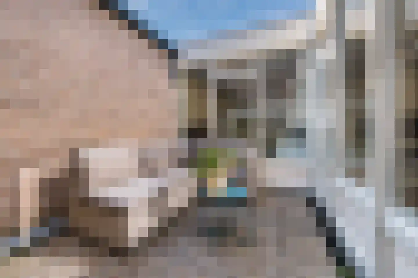 Molenwieken 54 Veghel thumbnail 5