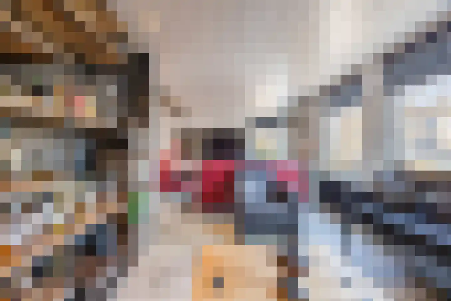 Molenwieken 6 Veghel thumbnail 10