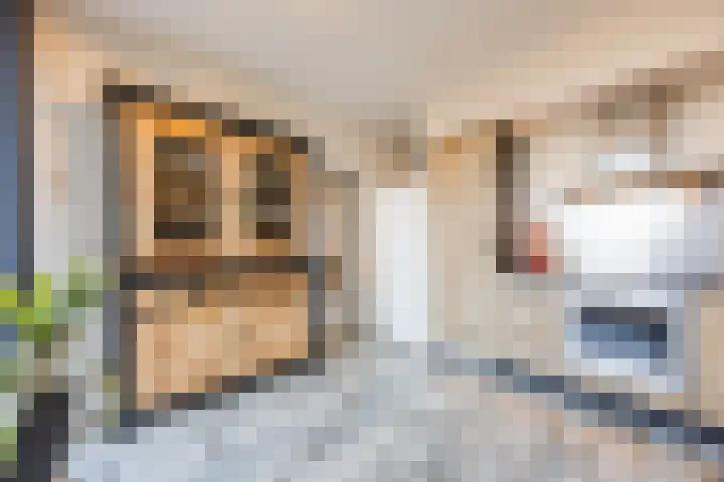 Molenwieken 6 Veghel thumbnail 18