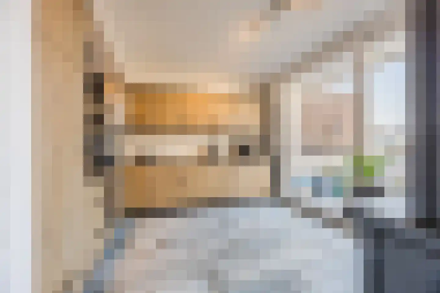 Molenwieken 6 Veghel thumbnail 19