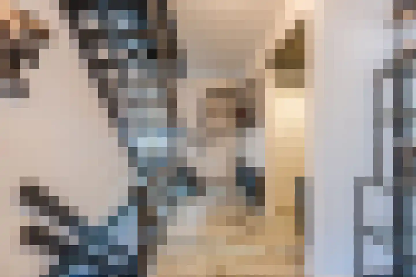 Molenwieken 6 Veghel thumbnail 23