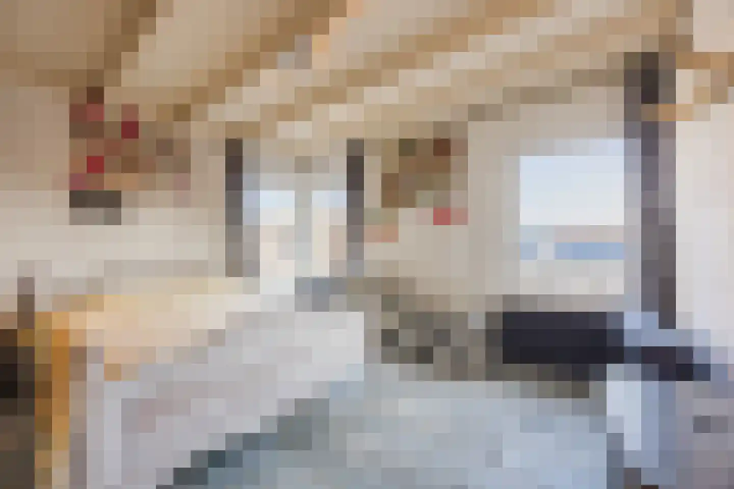 Molenwieken 6 Veghel thumbnail 28