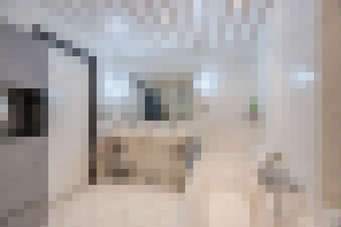 Molenwieken 6 Veghel thumbnail 40