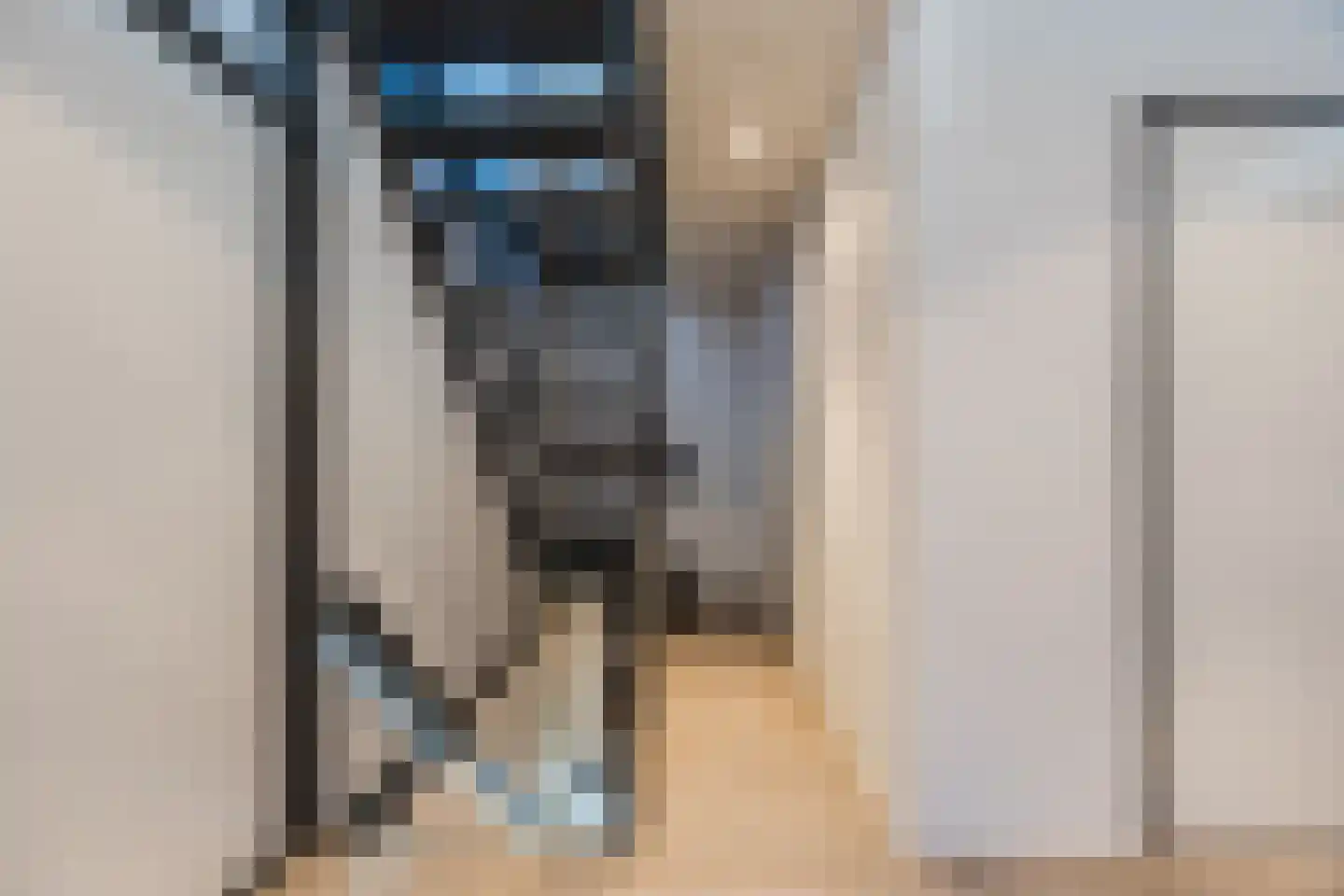 Molenwieken 6 Veghel thumbnail 43