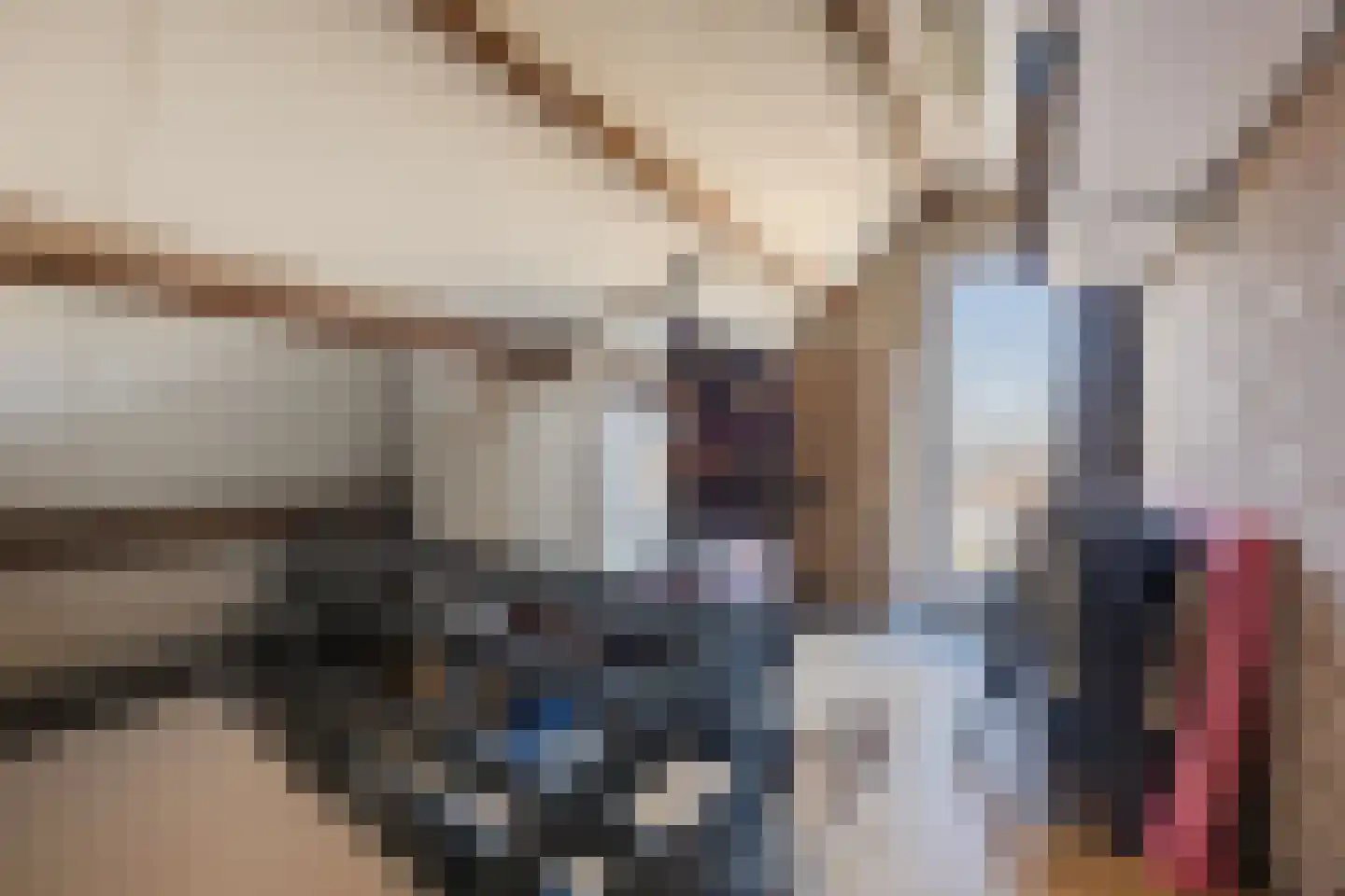 Molenwieken 6 Veghel thumbnail 45