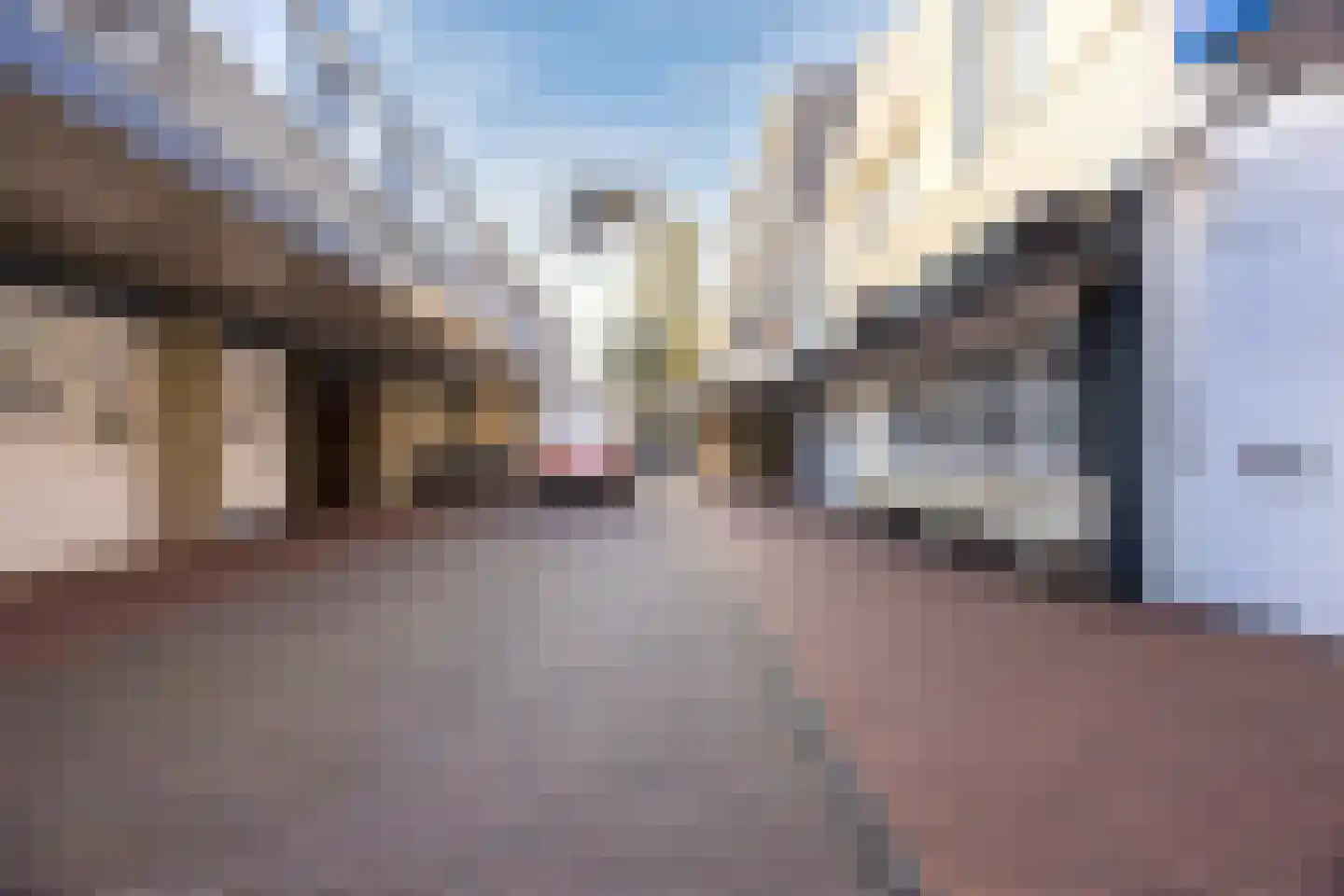 Molenwieken 6 Veghel thumbnail 5