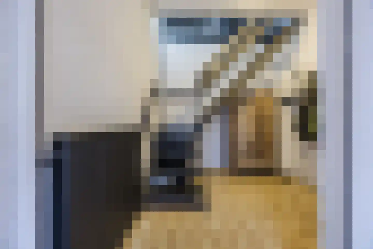 Molenwieken 6 Veghel thumbnail 7