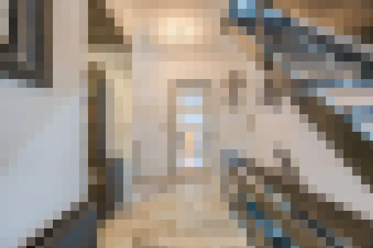 Molenwieken 6 Veghel thumbnail 8