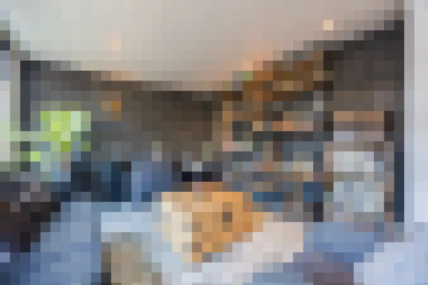 Molenwieken 6 Veghel thumbnail 9