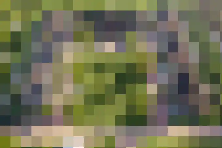 Molenwijk 2 Smilde foto 2