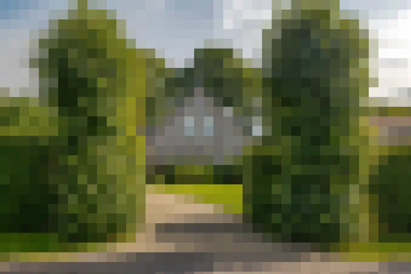 Molenwijk 3 A Smilde foto 3