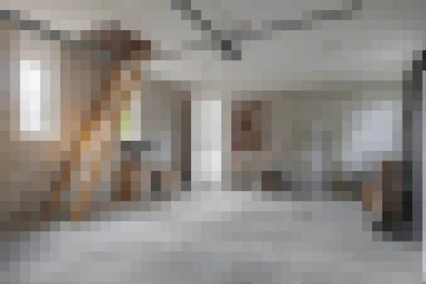 Molenwijk 3 A Smilde thumbnail 33