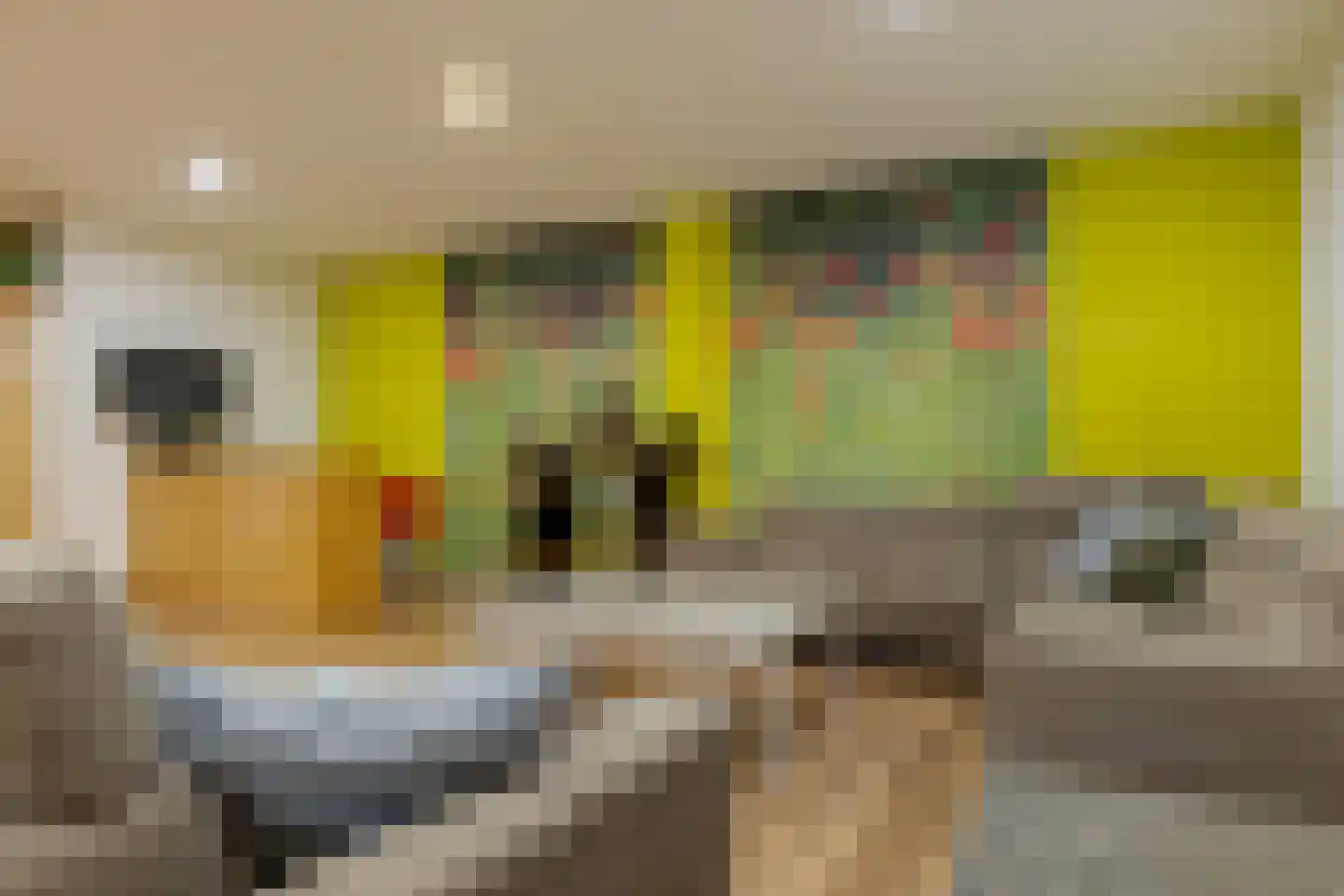 Molenwijk 3 Smilde thumbnail 50