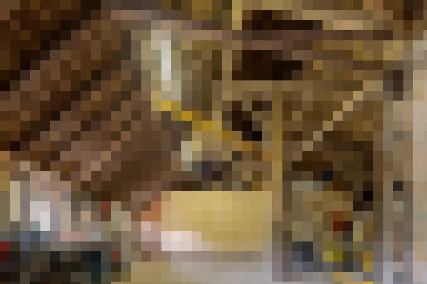Molenwijk 3 Smilde thumbnail 58
