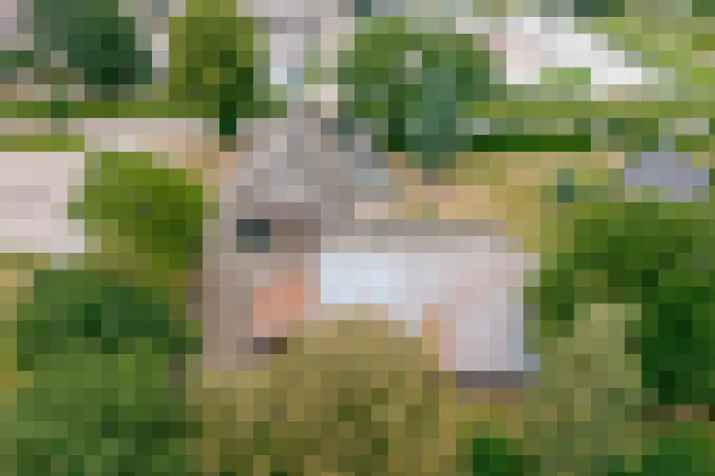 Molenwijk 3 Smilde thumbnail 6