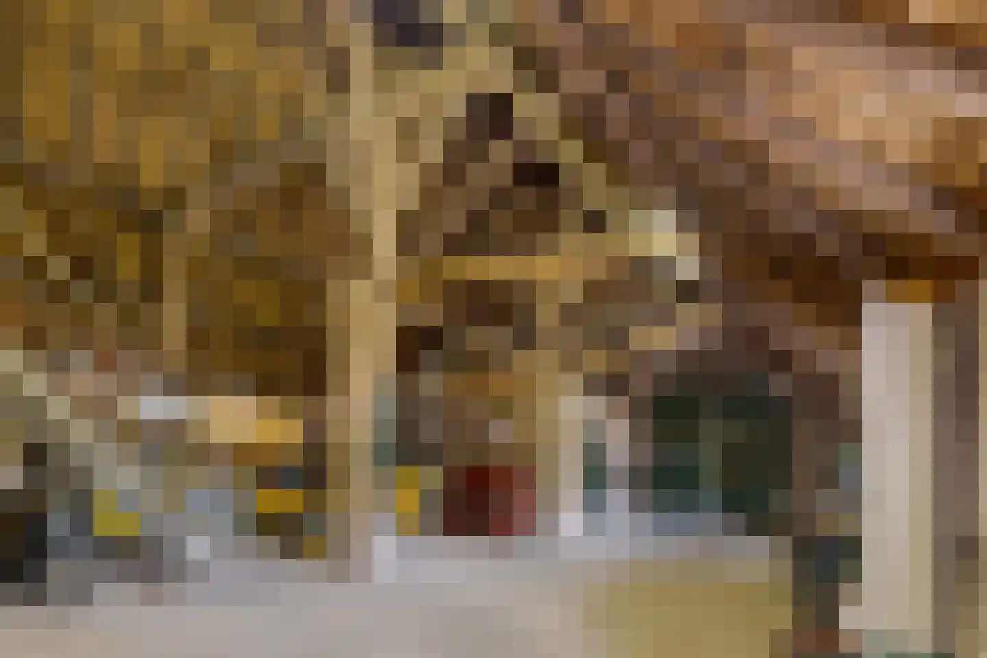 Molenwijk 3 Smilde thumbnail 60