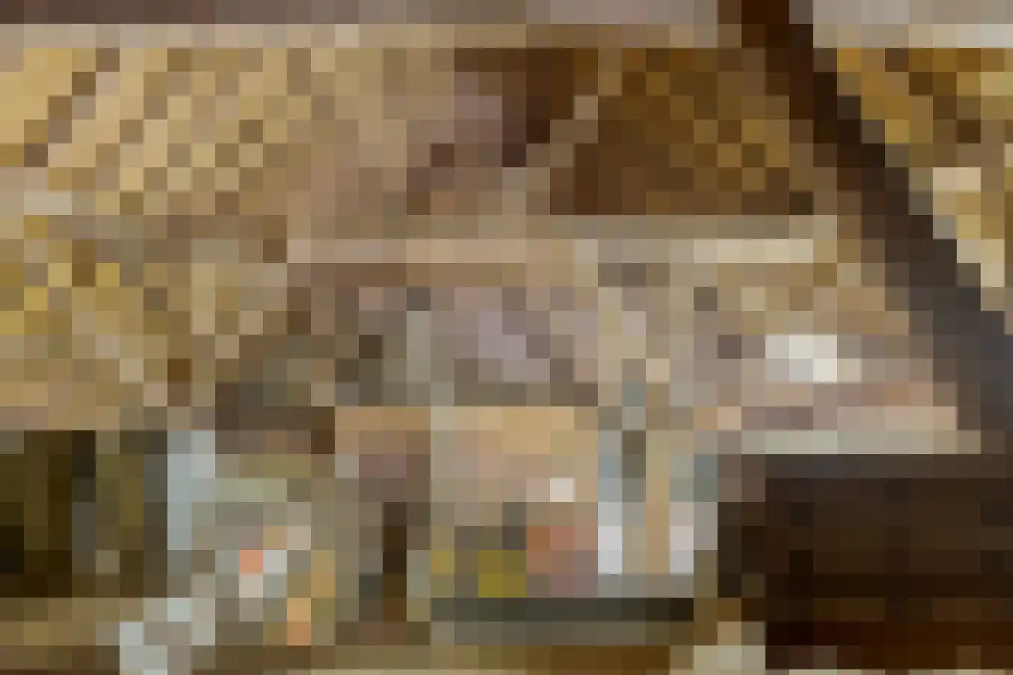 Molenwijk 3 Smilde thumbnail 61