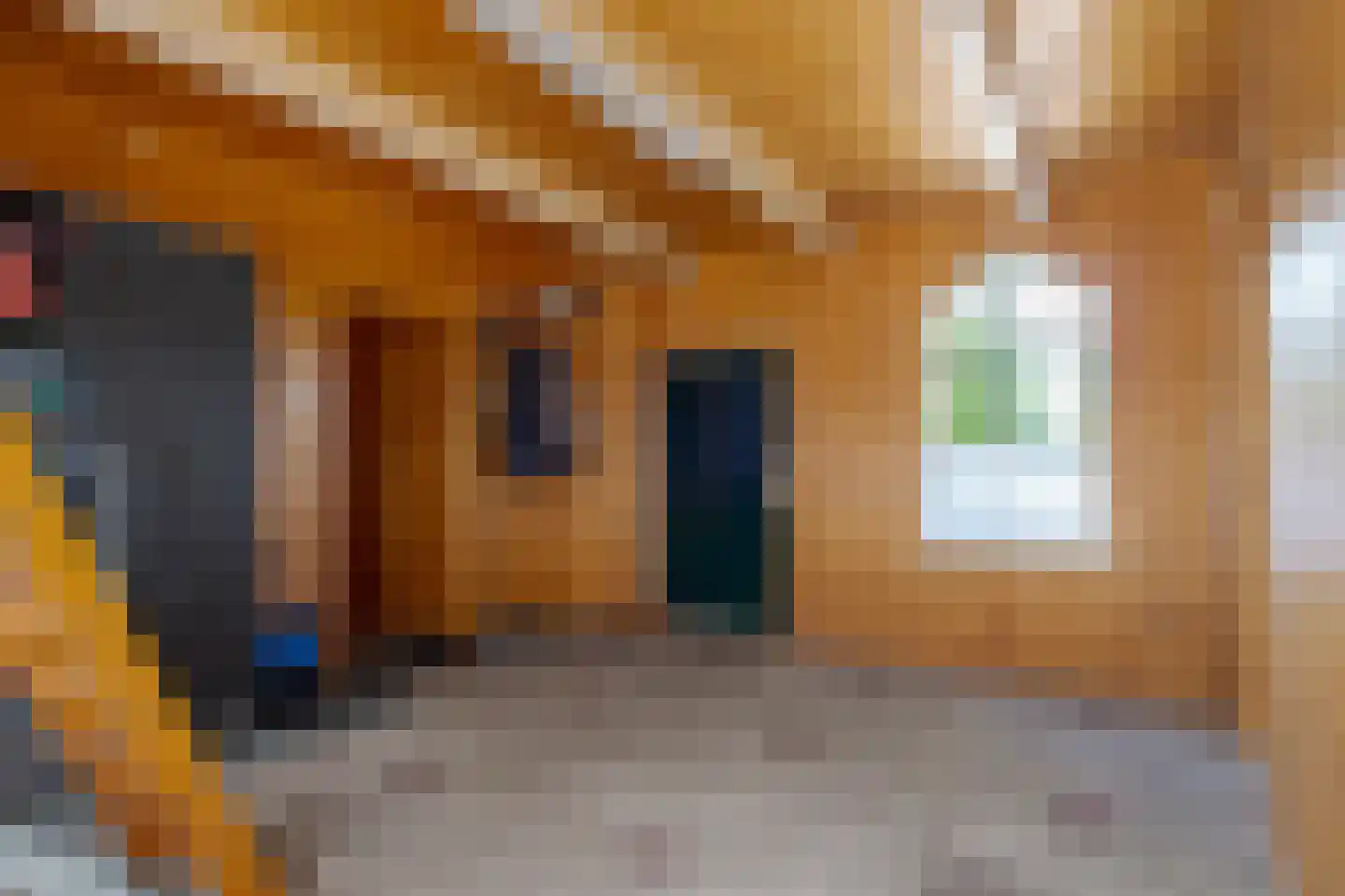 Molenwijk 3 Smilde thumbnail 65