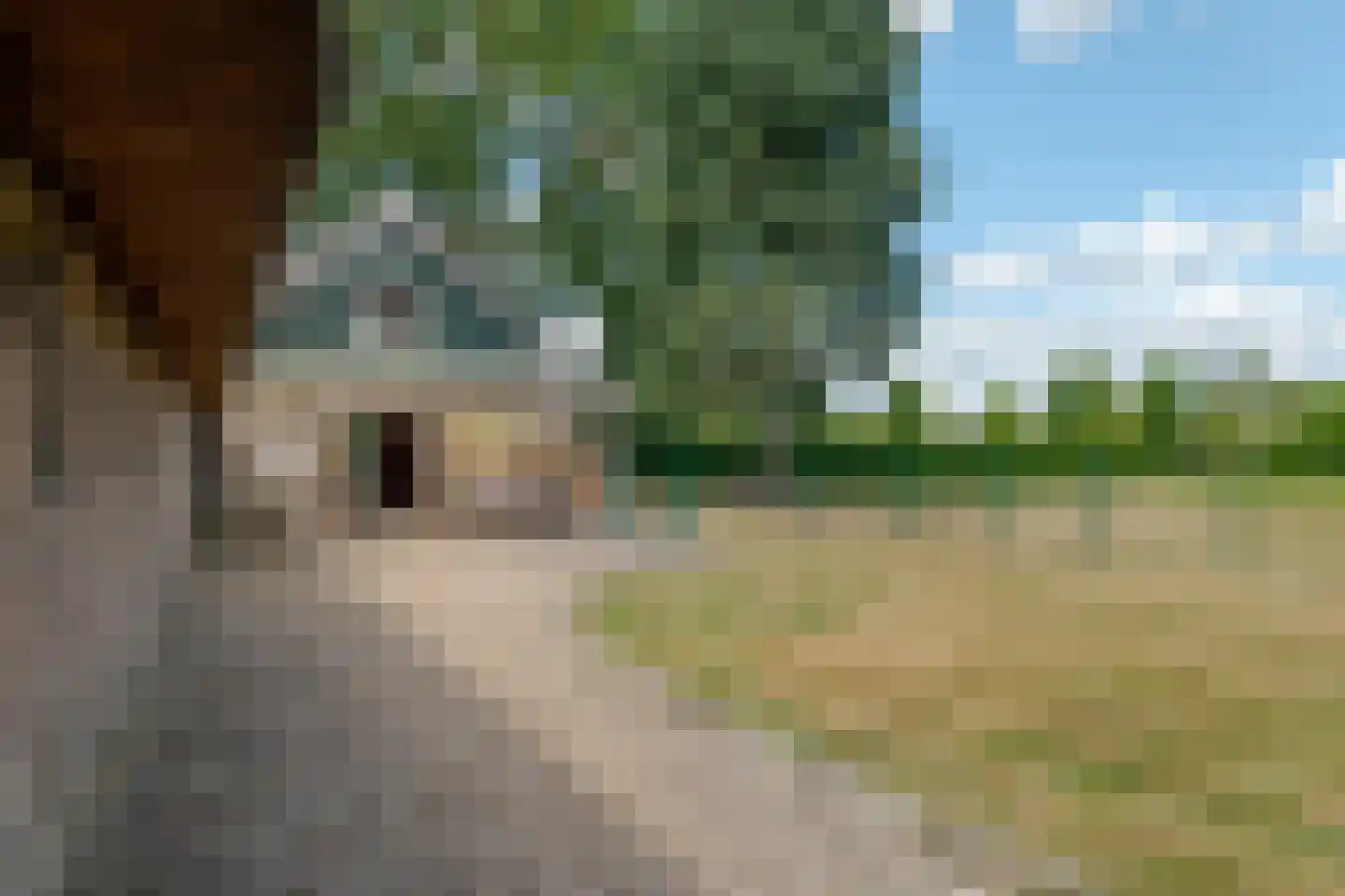 Molenwijk 3 Smilde thumbnail 72