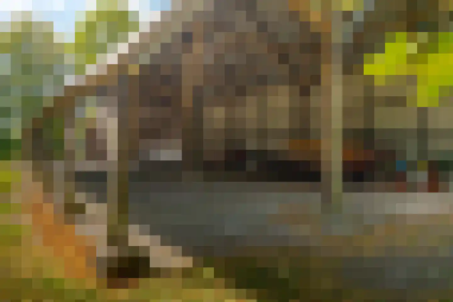 Molenwijk 3 Smilde thumbnail 79